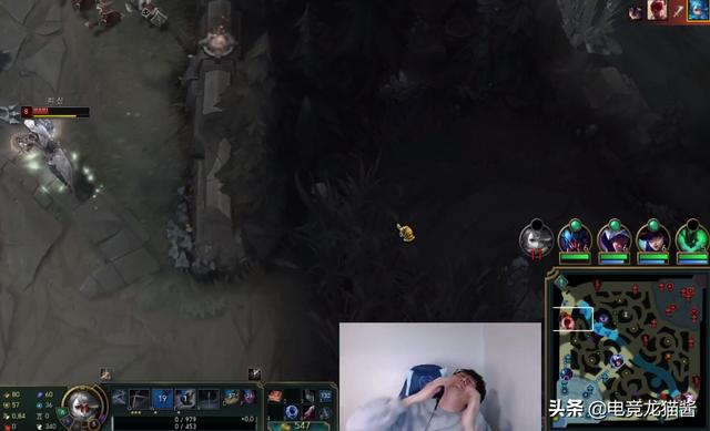 态及发展年 态及发展年